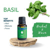 Essential Oil | Basil